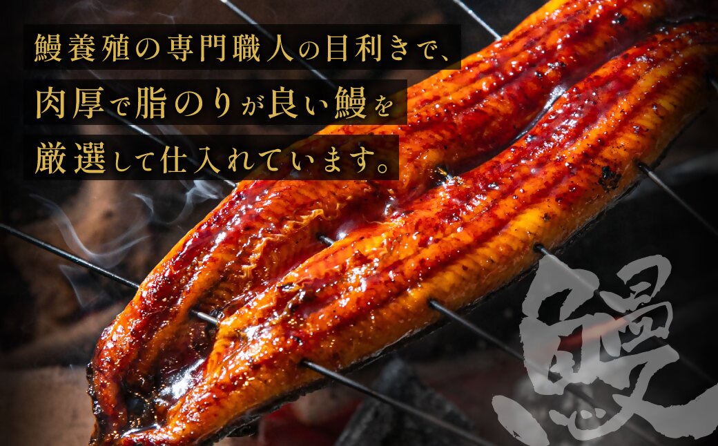 HA1495_うなぎ蒲焼き(約100g)×7Pセット【魚住商店】