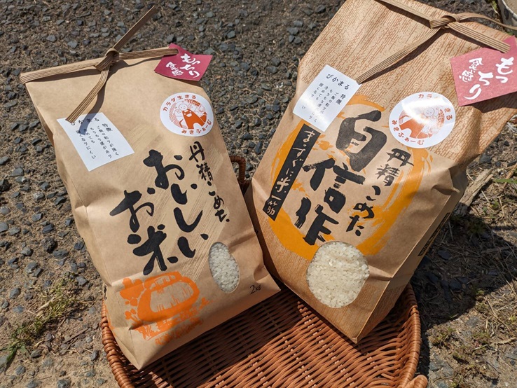 HA1543_むなかた産 米 ぴかまる 5kg【みきふぁーむ】