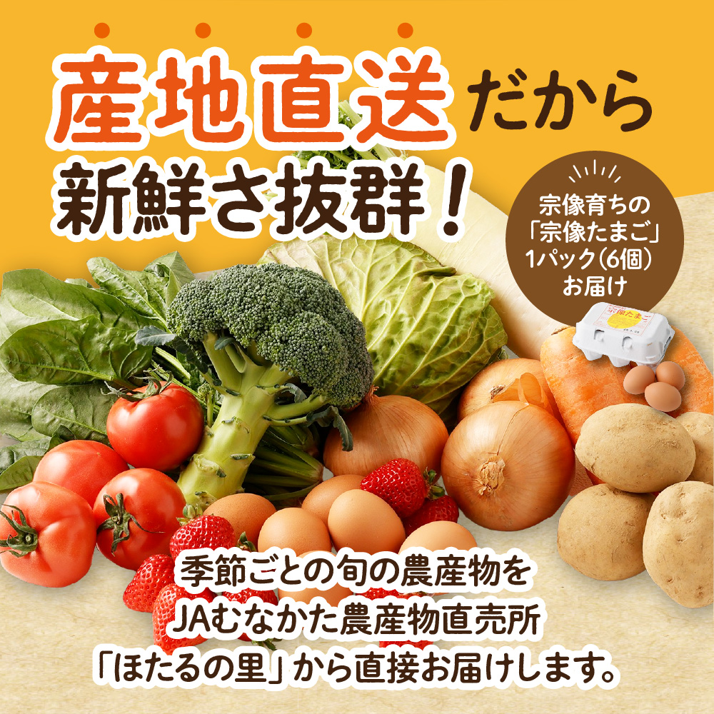 HB0194_【毎月お届け】むなかた旬のお任せセット(野菜・フルーツ・卵) 9~11品【JAほたるの里】
