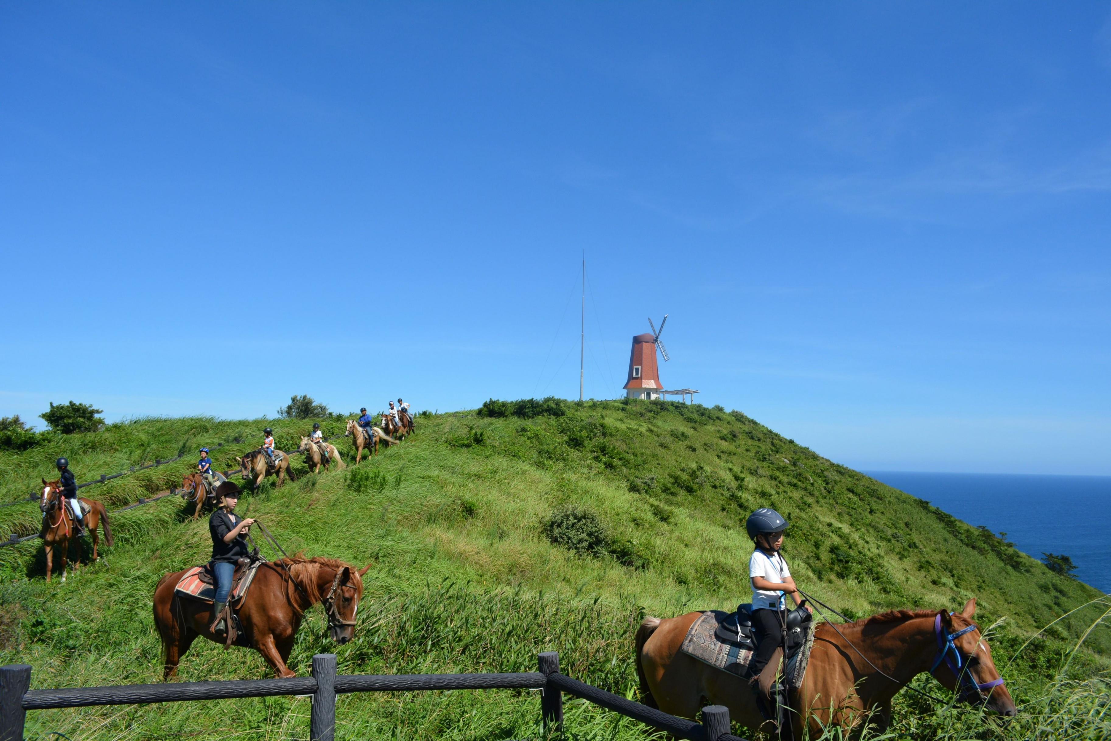 HA1711_乗馬体験チケット 離島 大島コース 【カナディアンキャンプ乗馬クラブ】