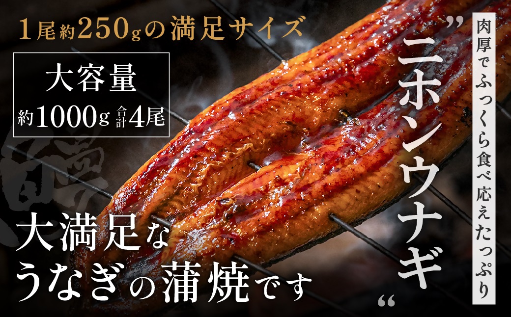 HA1494_数量限定!地域応援企画!うなぎ蒲焼き4尾セット(約250g×4尾セット)【魚住商店】