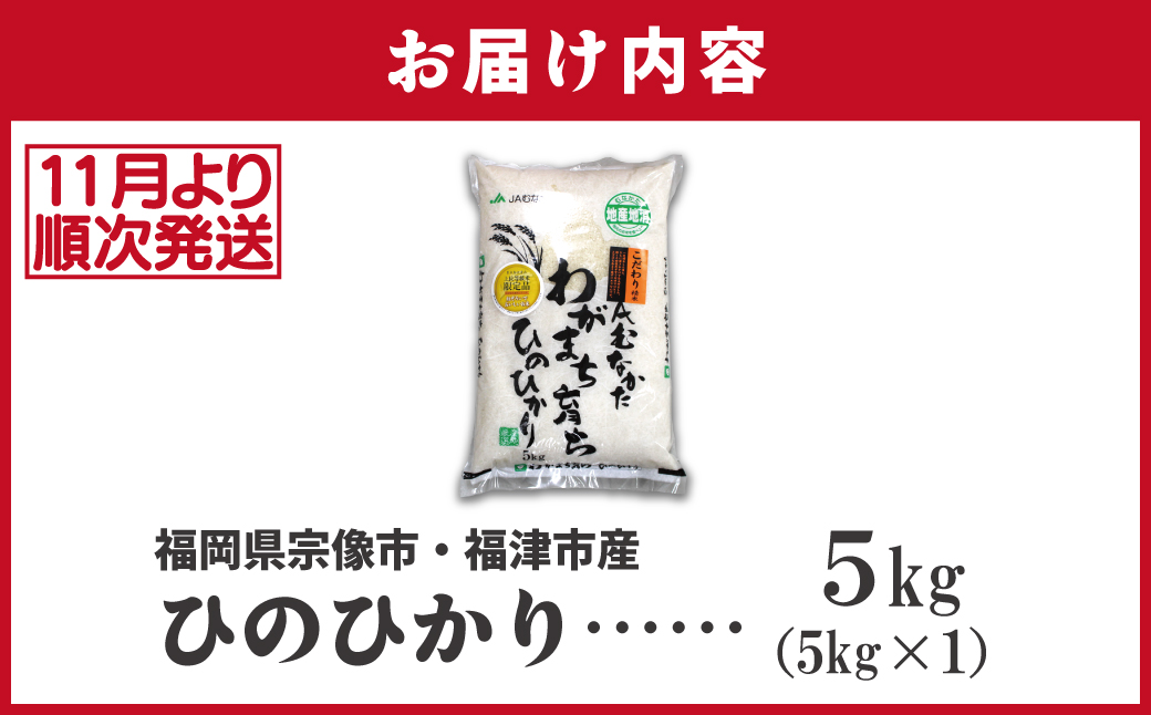 HA1786_令和7年産 新米先行予約!「ひのひかり」5kg【ほたるの里】