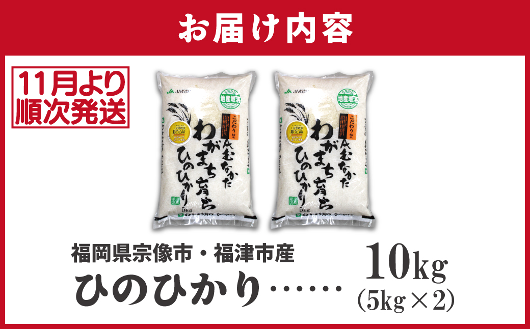 HA1787_令和7年産新米先行予約!「ひのひかり」10kg【ほたるの里】
