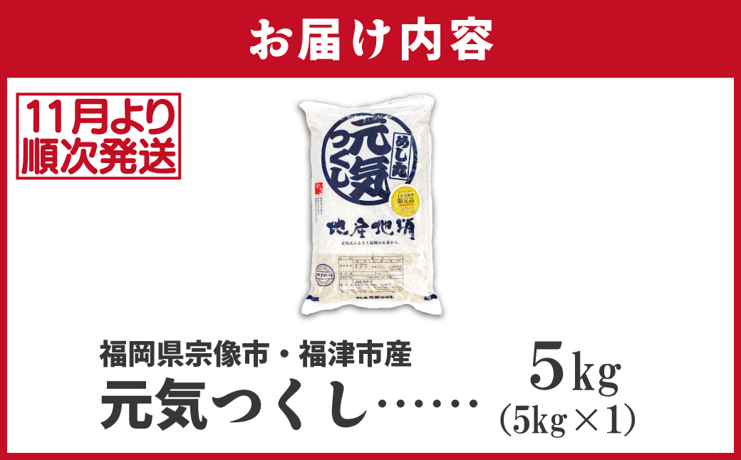 HA1788_令和7年産 新米先行予約!JAよりお届け!福岡県ブランド米「元気つくし」5kg【ほたるの里】