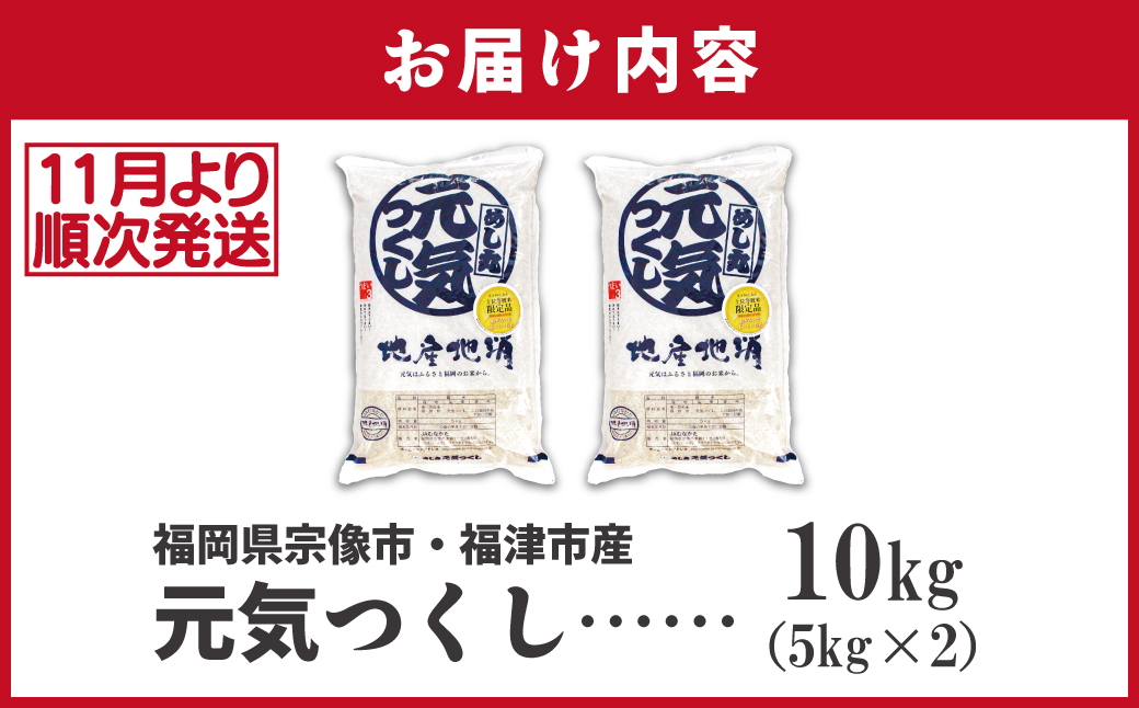 HA1789_令和7年産 新米先行予約!JAよりお届け!福岡県ブランド米「元気つくし」10kg【ほたるの里】