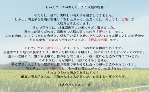HA1808_宗像産 夢つくし 10kg(5kg×2)【ちかえフーズ】