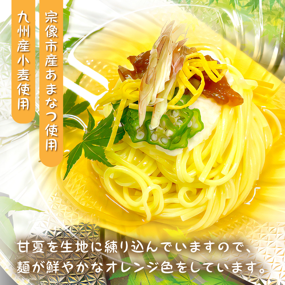 HA1826_【道の駅むなかた】宗像市産甘夏そうめん 6袋セット