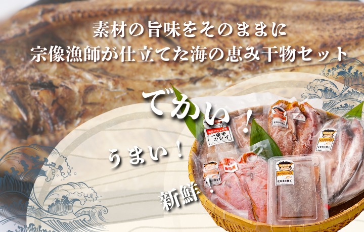 HA1819_【道の駅むなかた】北野水産加工おすすめ 干物詰合せ