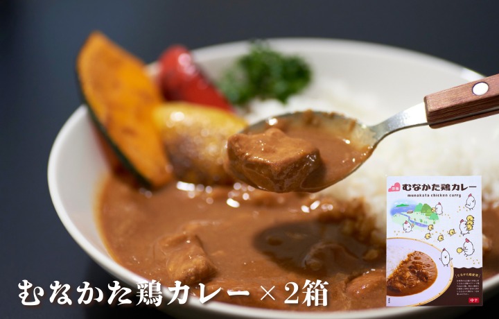 HA1837_【道の駅むなかた】むなかた鶏シリーズ 鶏づくしセット(計1.3kg)