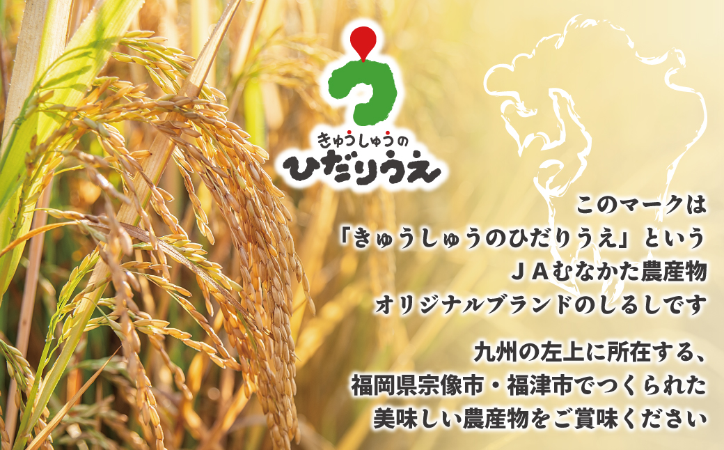 HA1790_福岡県ブランド米「夢つくし」5kg【ほたるの里】