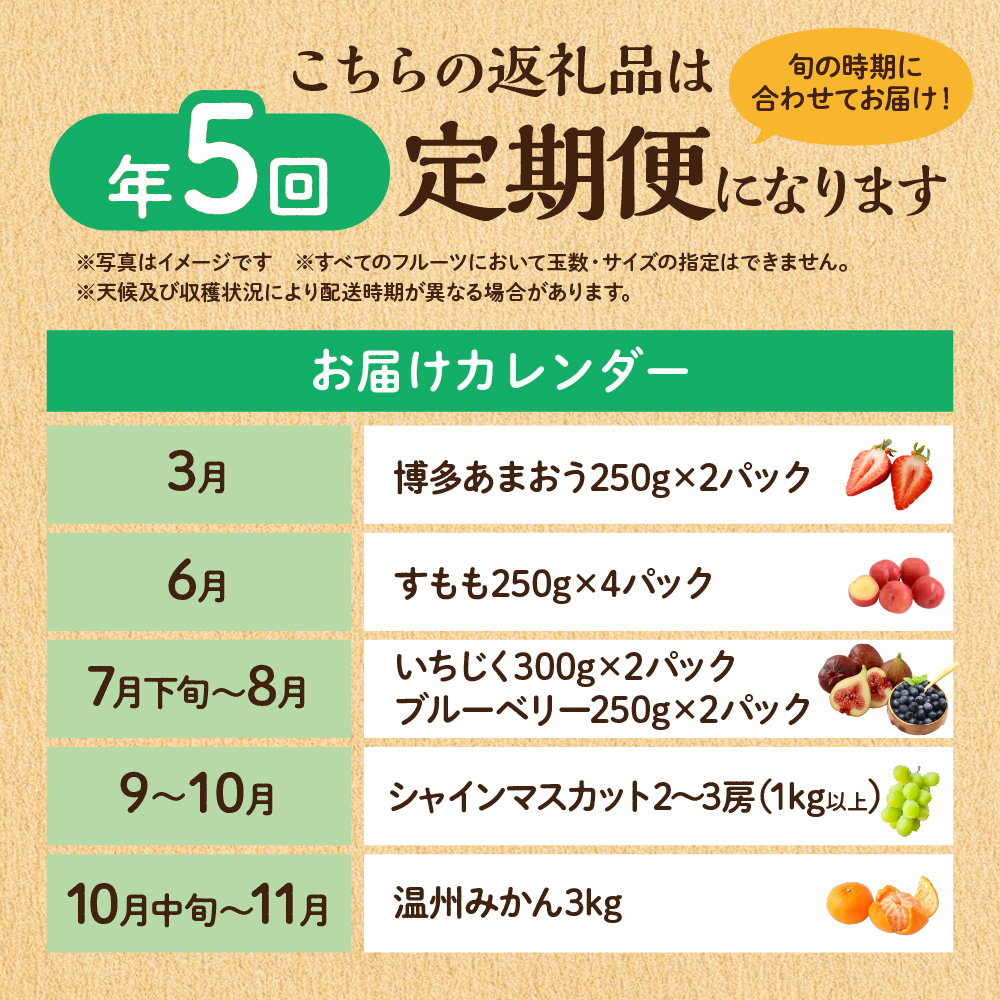HB0164_【定期便/年5回】JAむなかた厳選！人気フルーツ定期便【JAむなかた ほたるの里】