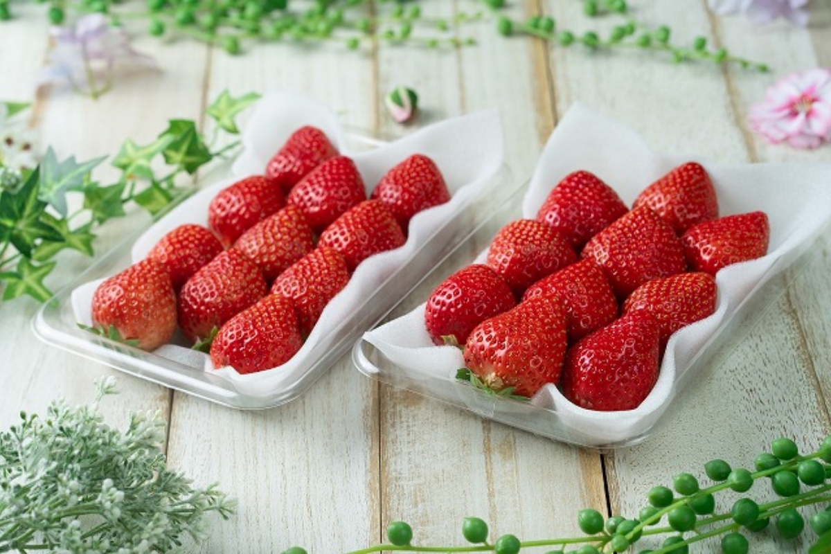 HA1908_【2026年2月より順次発送】福岡産【春】あまおうDX(デラックス)4パック【南国フルーツ株式会社】