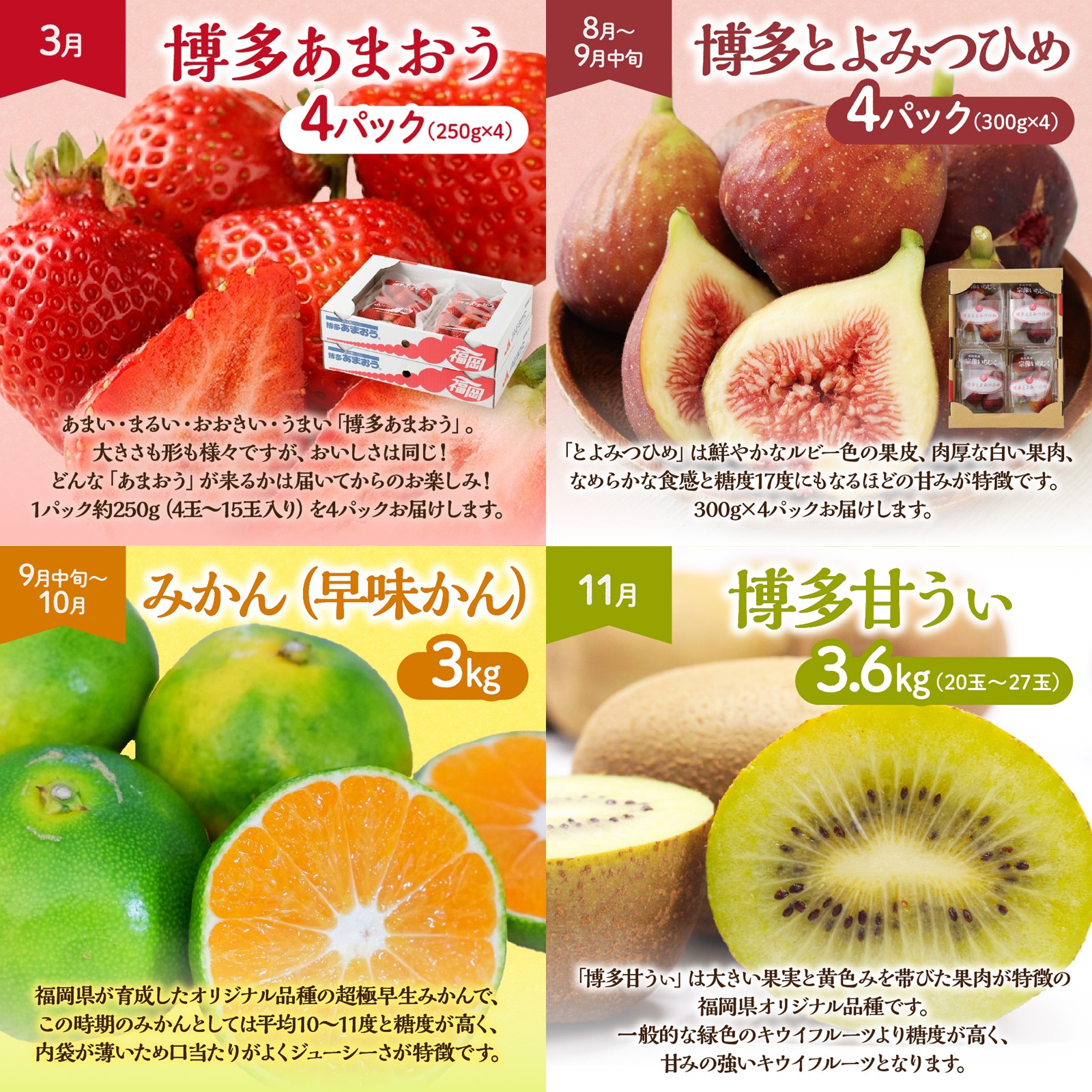 HB0087_【定期便/年4回】旬の福岡フルーツ定期便【ほたるの里】