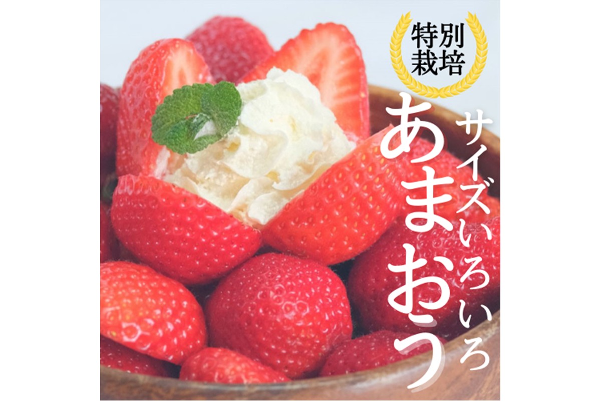HA1967_【先行予約受付中】【2026年12月以降順次発送】特別栽培あまおう2パック(サイズミックス)【うるう農園】