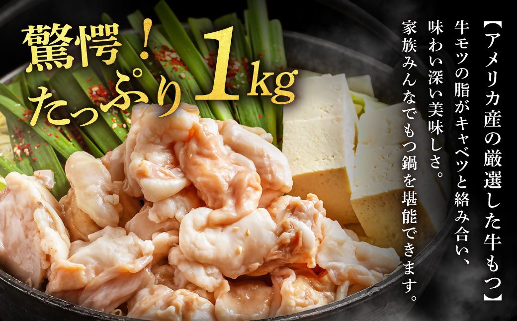 HA1682_塩&あごだし醤油 贅沢もつ鍋2種セット《たっぷりもつ1kg入り》【魚住商店】
