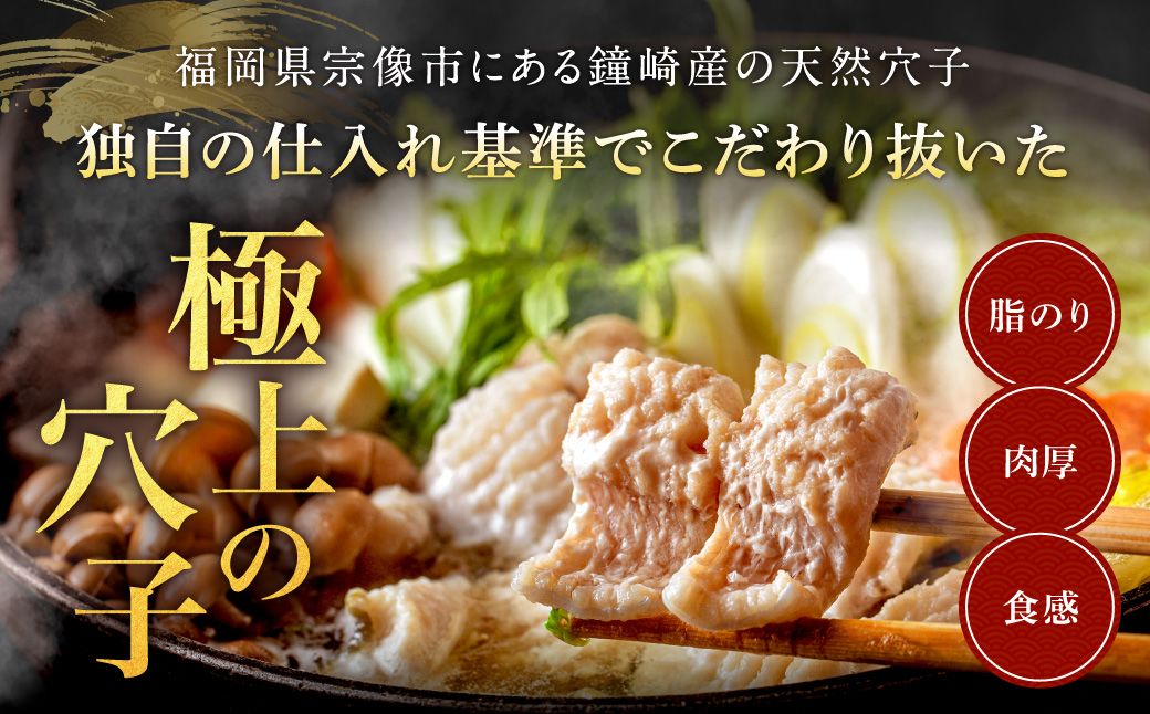 HA1994_【鐘崎産天然穴子】国産天然穴子鍋セット(4〜6人前) 【魚住商店】
