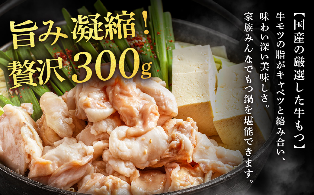 HA2018_魚住商店特製 国産牛もつ使用 塩もつ鍋セット(2~3人前)【魚住商店】