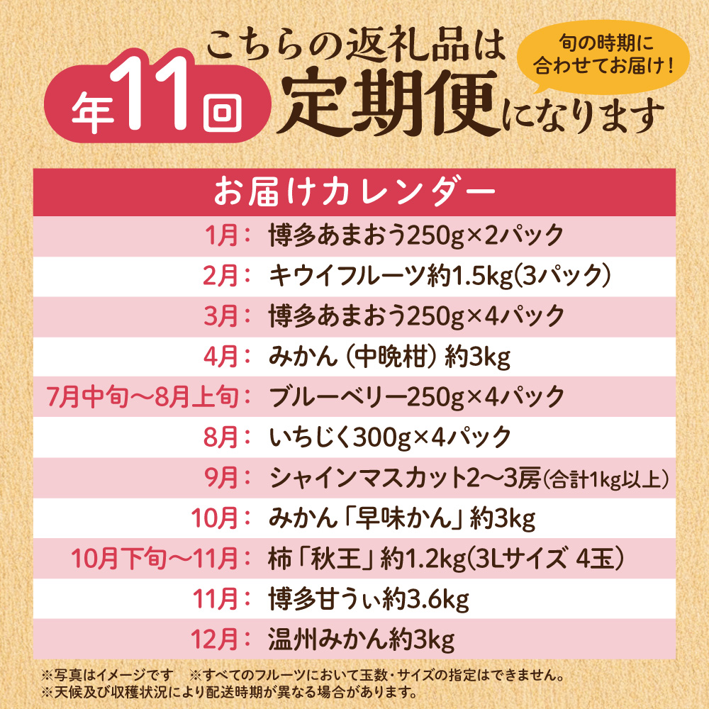 HB0171_【定期便/年11回】JAむなかた厳選!旬のフルーツ定期便【JAほたるの里】