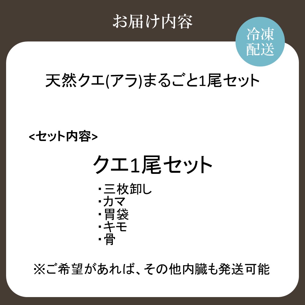 HA2007_天然クエ（アラ）まるごと1尾セット（約3kg）【マルケイ水産】