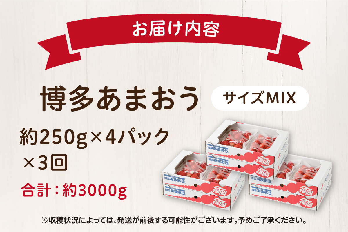 HB0032_【定期便/3ヶ月連続お届け】アフター保証 大人気のあまおう 250g×4パック 計3回 総量3.0kg 3ヶ月定期便 福岡県産いちご【JAほたるの里】