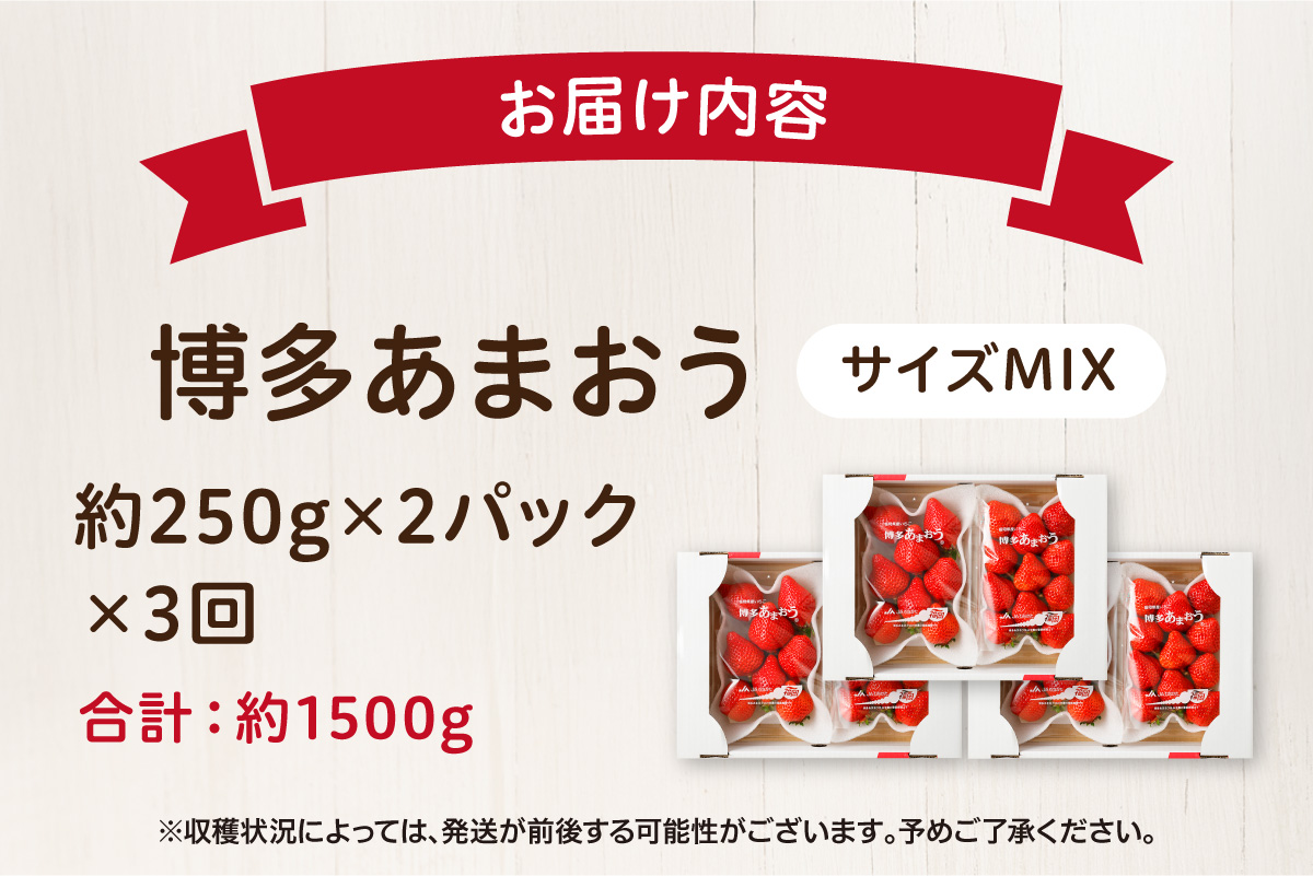 HB0075_【定期便/3ヶ月連続お届け】アフター保証 博多あまおう 約250g×2パック 計3回 総量1.5kg 3カ月定期便【JAほたるの里】