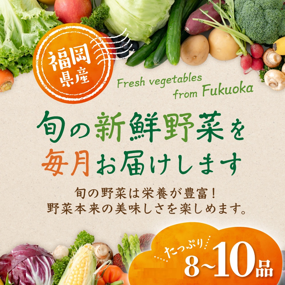 HA2050_旬のお野菜詰合せセット【道の駅むなかた】
