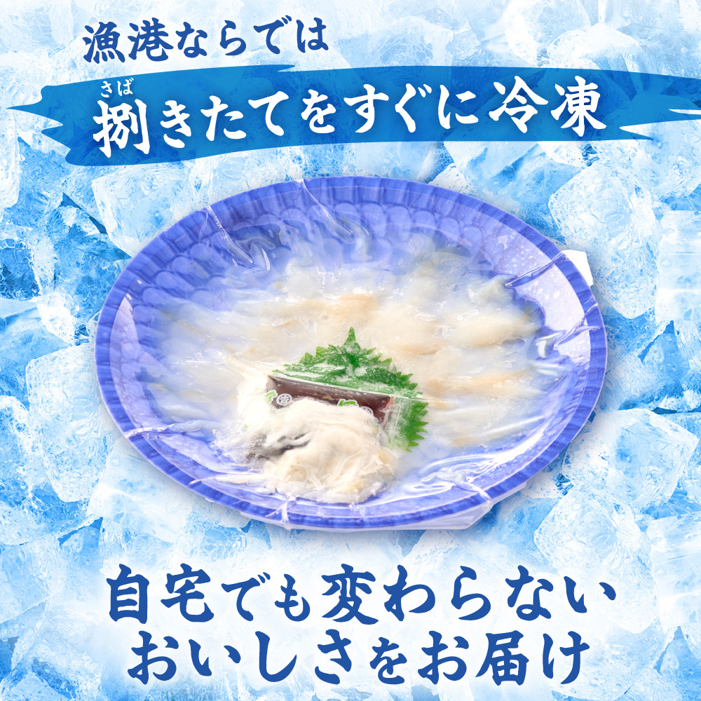 HA0467_漁師お勧め!天然 とらふぐ てっさ(お刺身セット)2~3人前【宗像漁協】