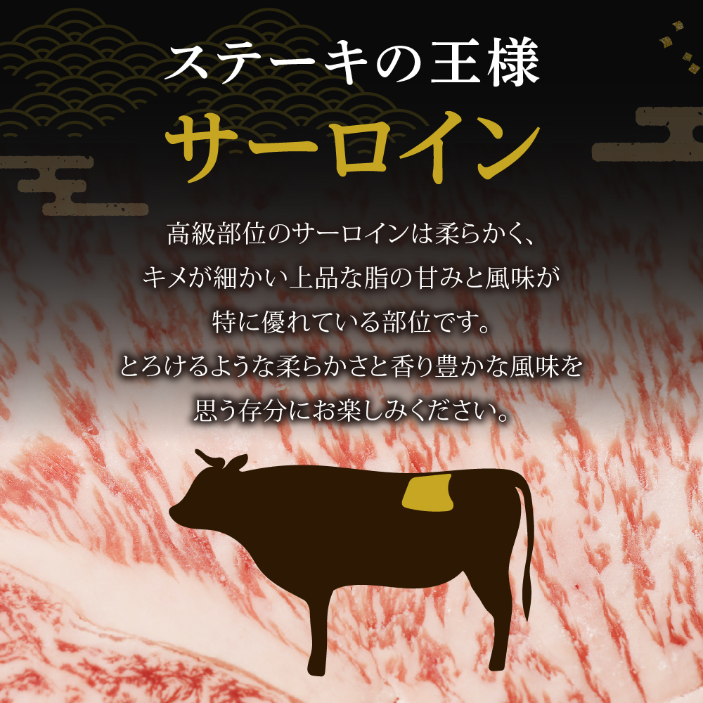 HA0186_黒毛和牛 (博多和牛) サーロインステーキ 200g×3枚（ジャポネソース付）【伊豆丸商店】