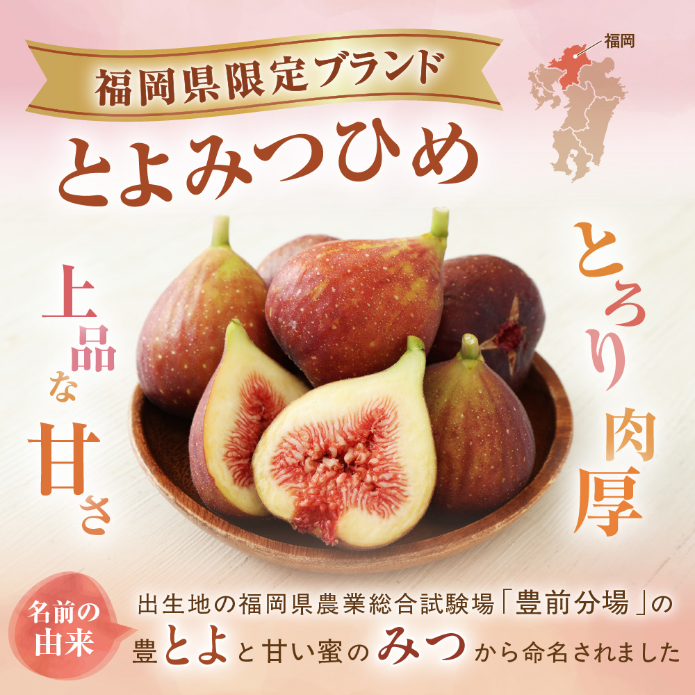 HA0278_プレミアムいちじく とよみつひめ 1.2kg【JAほたるの里】