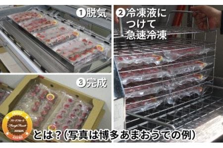 HA0279_急速冷凍!福岡県特産品プレミアムいちじく「とよみつひめ」冷凍いちじく 大容量2kg【JAほたるの里】