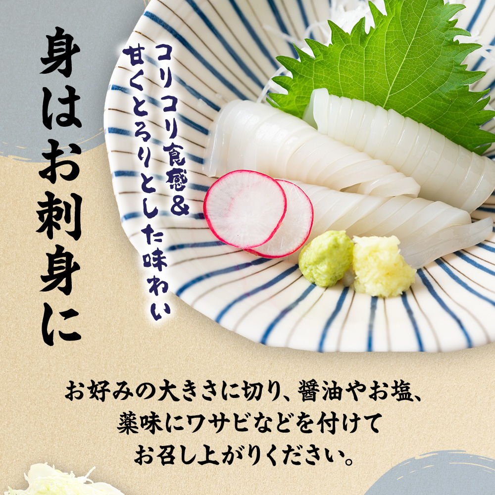 HA0416_刺身用　新鮮ヤリイカ2杯セット(宗像鐘崎産)【マルケイ水産】
