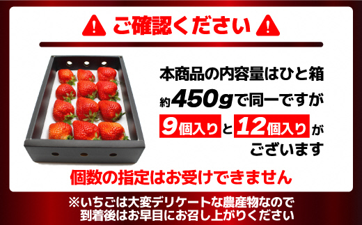 HA0754_12月発送!「博多あまおう」EX 贈答用化粧箱 約450g 1箱【ほたるの里】