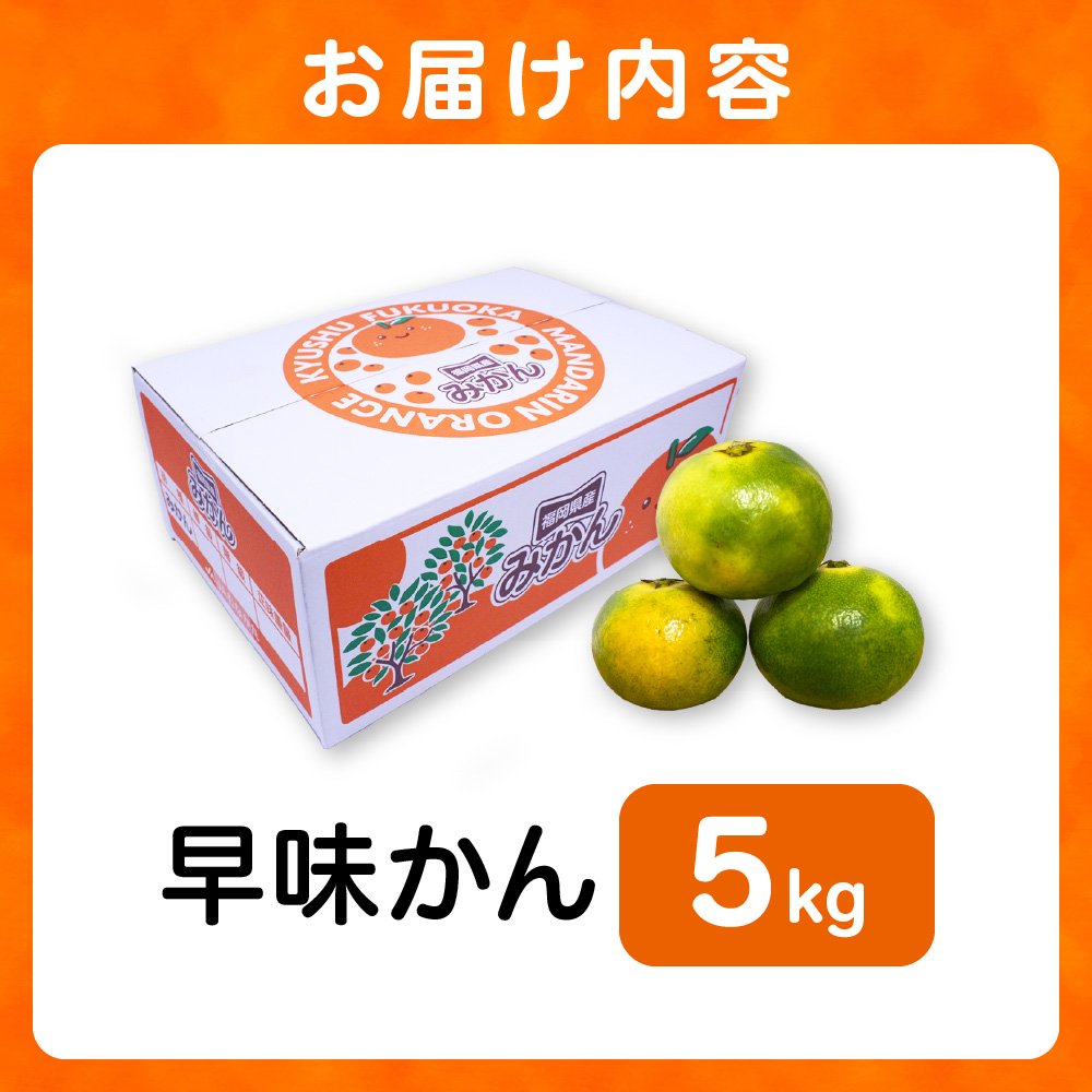 HA0887_福岡県ブランド 極早生みかん「早味かん」5kg【JAほたるの里】