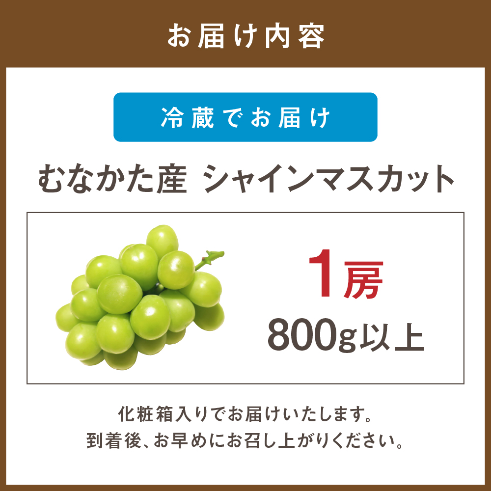 HA0913_JAむなかた厳選【むなかた産シャインマスカット】1房(800g以上)【JAほたるの里】