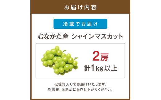 HA0914_JAむなかた厳選【むなかた産シャインマスカット】2房(1kg以上)【JAほたるの里】