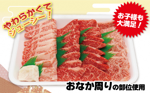 HA0952_JAむなかたよりお届け！博多和牛焼肉用600g【ほたるの里】
