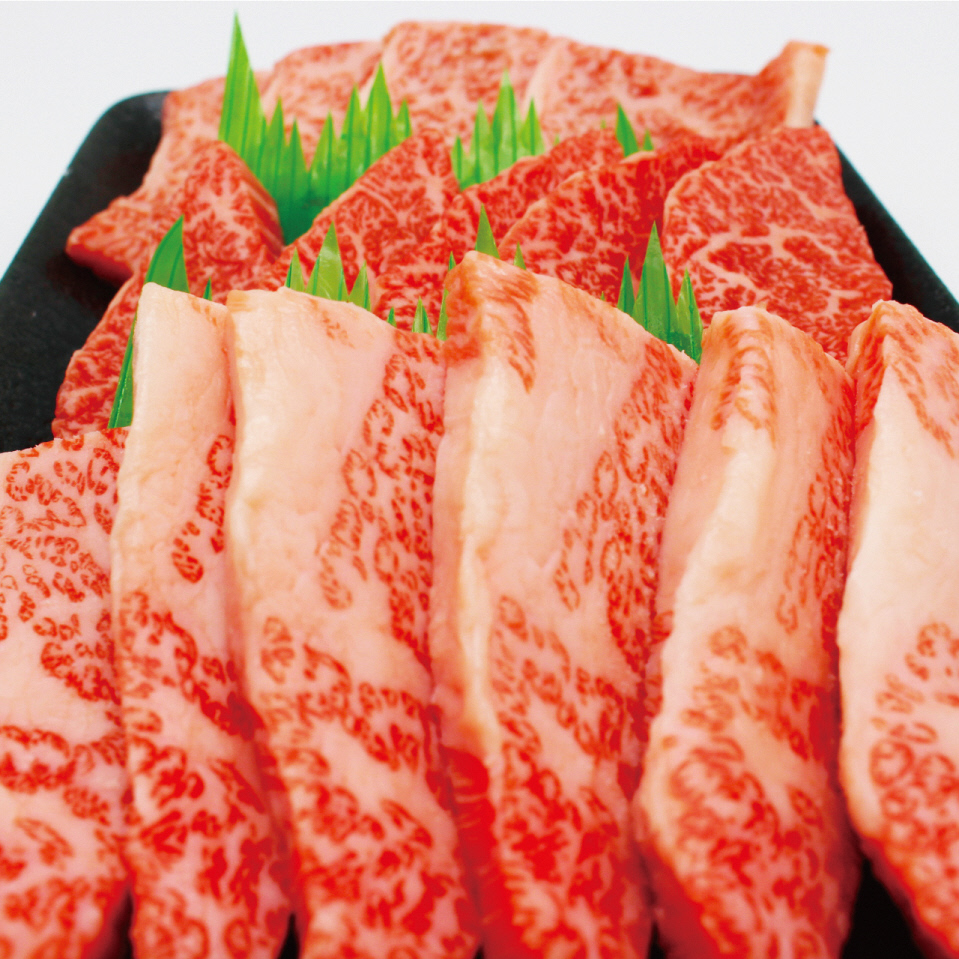 HA0953_JAむなかたよりお届け！博多和牛焼肉用800g【JAほたるの里】