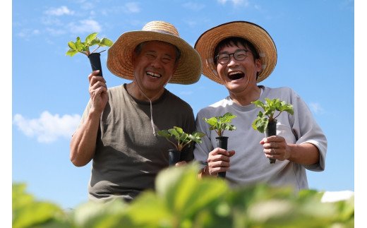 HA1339_福岡県産 あまおう&桃薫セット【ナチュレッシュ・ファーム・ジェイピー】