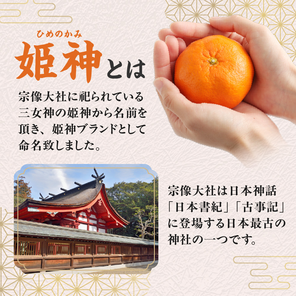 HA1345_JAむなかたブランド「姫神」5kg 【2025年10月下旬~12月発送】【JAほたるの里】