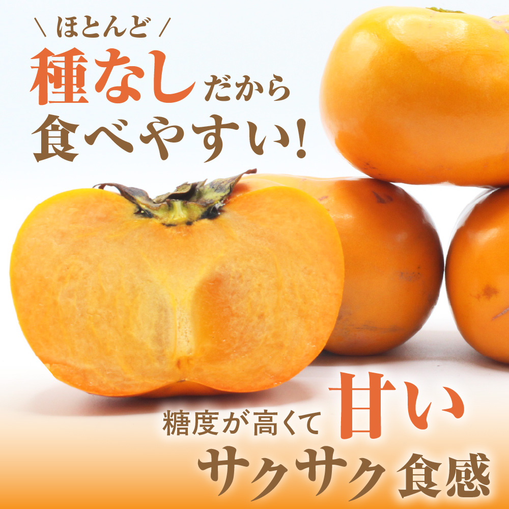 HA1352_福岡県ブランド 高級柿【秋王】3.5kg【JAほたるの里】
