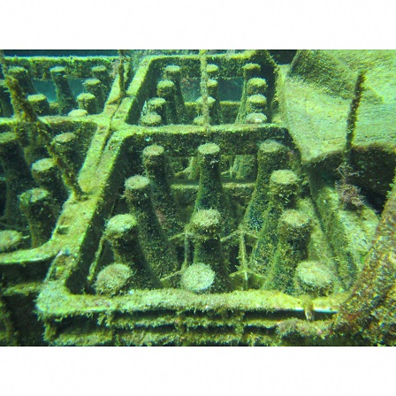 沖ノ島海中熟成酒 沖ノ島【宗像観光協会】_HA1463