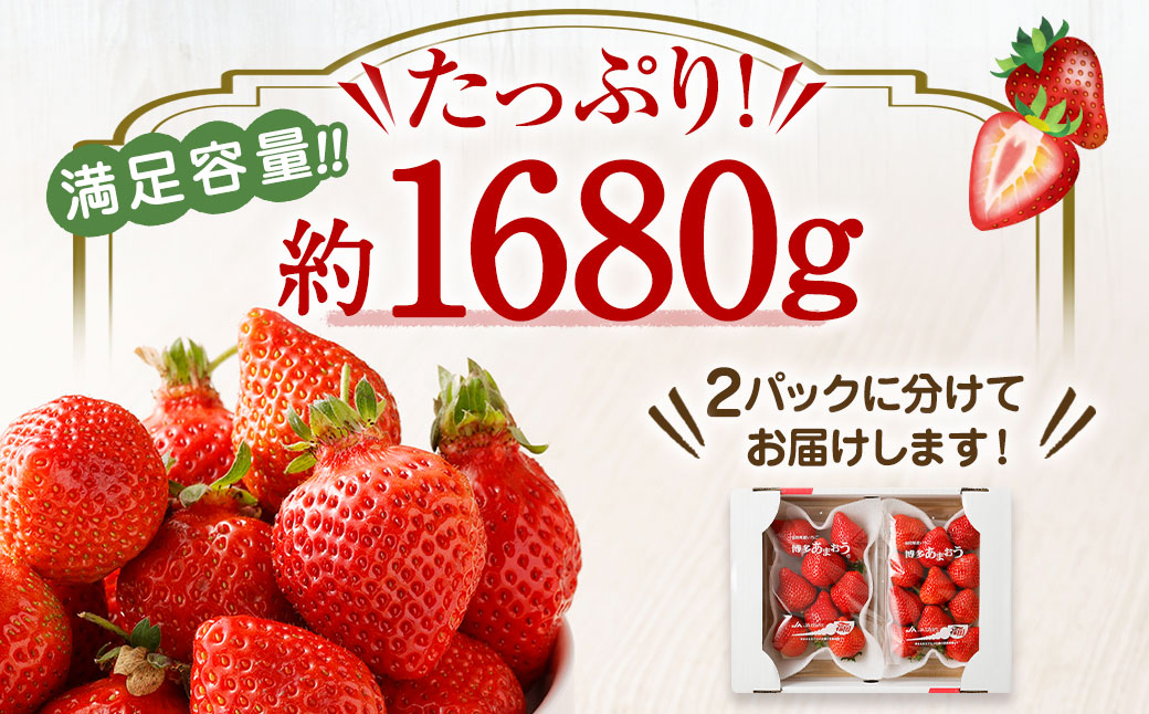 HB0075_【定期便/3ヶ月連続お届け】アフター保証 博多あまおう 約280g×2パック 計3回 総量1.68kg 3カ月定期便【JAほたるの里】
