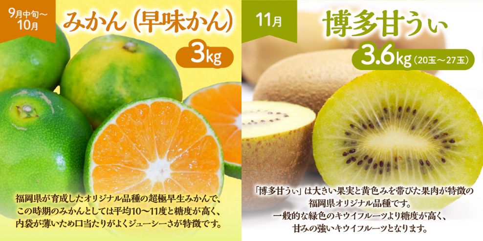 HB0087_【定期便/年4回】旬の福岡フルーツ定期便【ほたるの里】