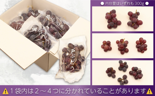 HA1476_【JAむなかたより】巨峰1.2kg【JAほたるの里】
