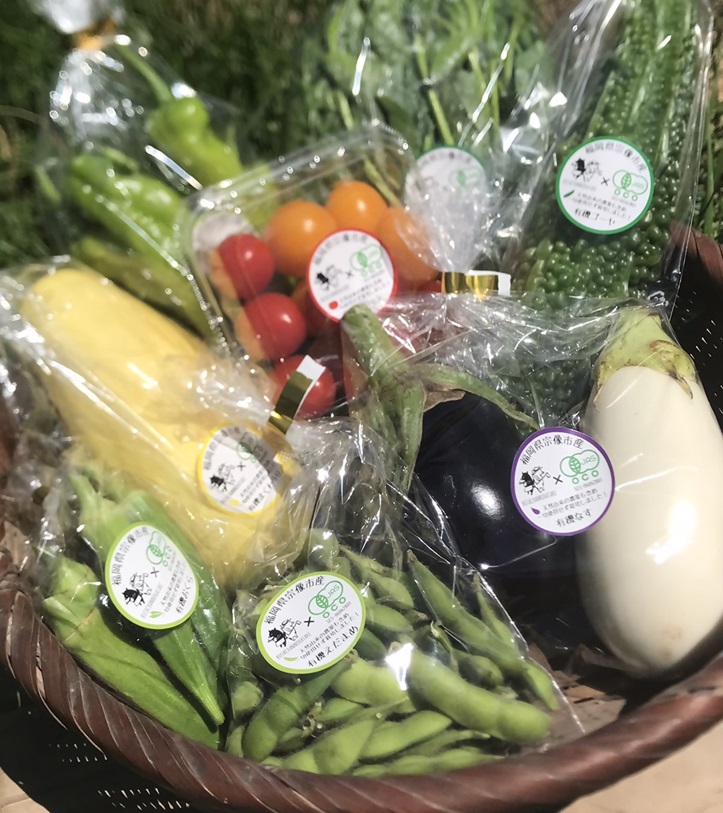 HB0162_【定期便/年12回/毎月お届け】有機JAS認証 旬の野菜セット 8品【ぶたちゃんの畑】
