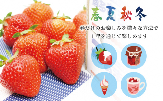 HA1513_急速冷凍!人気のあまおう 冷凍いちご 福岡県特産品 大容量 1.6kg【JAほたるの里】