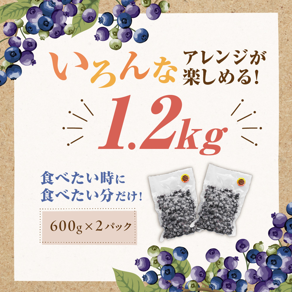 HA1517_有機栽培・栽培期間中農薬不使用!急速冷凍ブルーベリー 1.2kg 【JAほたるの里】