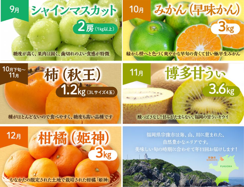 HB0171_【定期便/年11回】JAむなかた厳選!旬のフルーツ定期便【JAほたるの里】