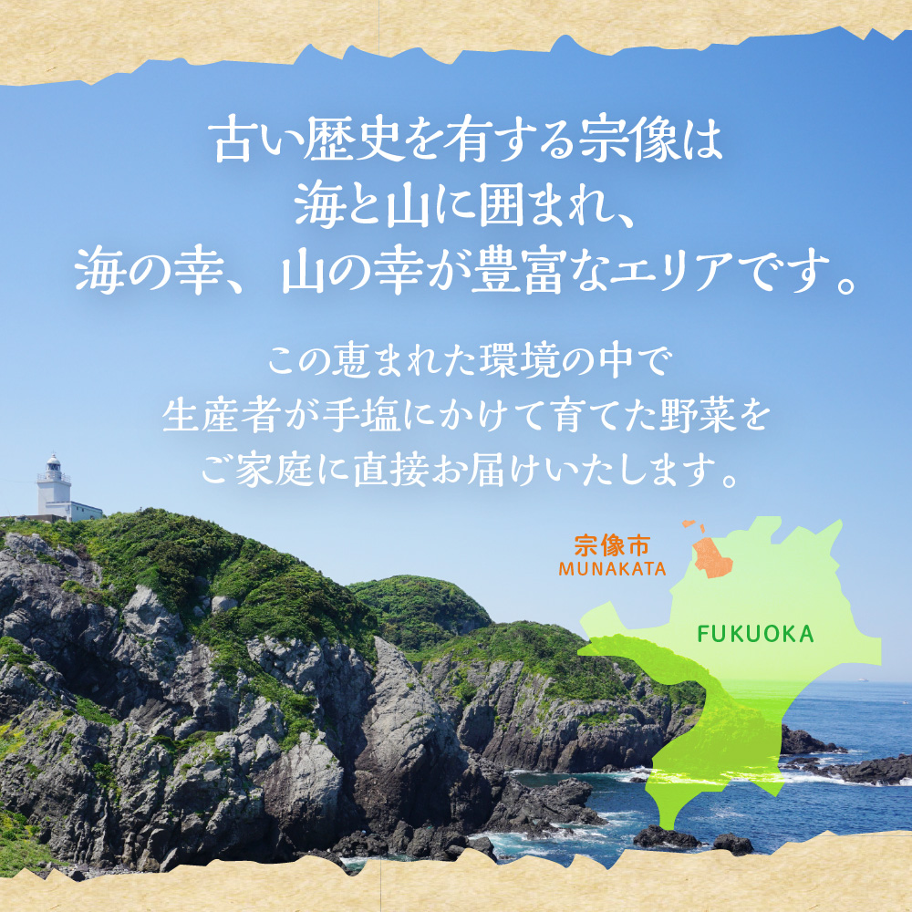 HB0173_【毎月お届け】むなかた旬のお任せセット(野菜)7~9品【JAほたるの里】