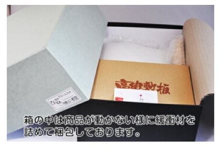HA1638_天翔龍 紅 SO-55【粋工房】